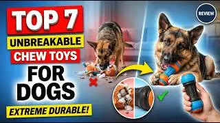 Top 7 Unbreakable Chew Toys (Unexpected Picks for Power Chewers!)