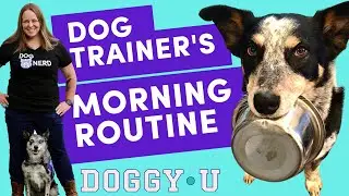 Morning Routine with my Dogs (Dog Trainer's Daily Schedule)