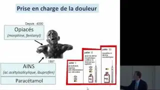 Emmanuel Hermans: PHARMACOLOGIE DE LA DOULEUR