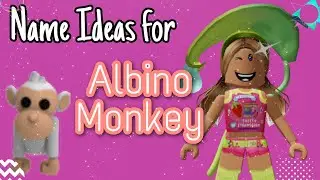 Name Ideas For Your Pet Albino Monkey in Adopt Me | Simply Spaghettxi