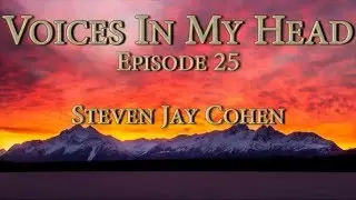 Voices In My Head - Episode 25 - Steven Jay Cohen
