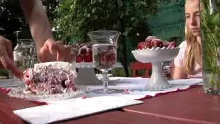 Swedish Midsummer for Dummies