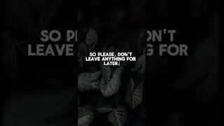 don't leave anything for later #motivation #voiceofwisdom #lifechangingwisdom