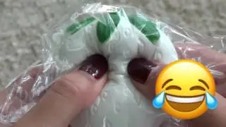 AMAZING New Squishies!!