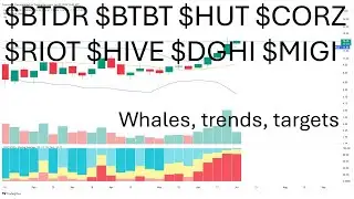 $BTDR $BTBT $HUT $CORZ $RIOT $HIVE $DGHI $MIGI #Bitcoin miner whale update, trend update, targets