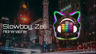 Slowboy, Zeli - Adrenaline [Baile Bass] [Free Music - No Copyright]