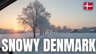 Early Morning Winter Drive in Denmark 🇩🇰 | Snowy Car Window Travel View