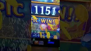 Casino, 5 of a kind. A nice pay for a $5 bet.