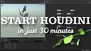Want to learn Houdini? Start Here