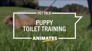 Animates Pet Talk - Toilet Training