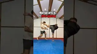 What martial arts ACTUALLY is&hellip;😂