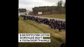 В Белоруссии сотни беженцев идут к польской границе #shorts
