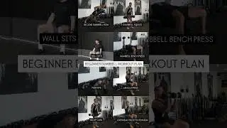 Beginner Dumbbell Workout Plan