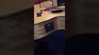 Maton AP5 Pro issue
