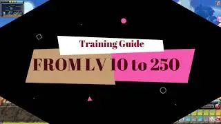 Training Guides and Support from twins