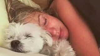 Dogs Want to Sleep With Owner Compilation NEW