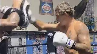 Pure Padwork’s Weekly Killer Muay Thai, Boxing and MMA Pad Work Compilation #102