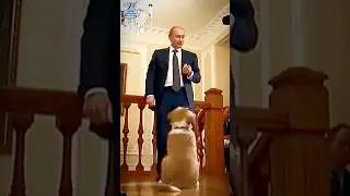 Putin with his dog #shorts