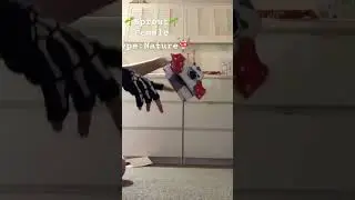 @BEALOVE-r5i go check out my main account! First video of a new channel! ❤️#fypシ゚viral #viralvideo