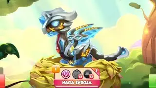 HATCHING ENROJA DRAGON ! DRAGON MANIA LEGENDS 