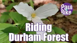 Riding the Durham Forest trails