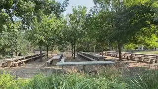 Pease Park in Austin Turns 150 | New Tours Explore City's History of Segregation & Inclusion