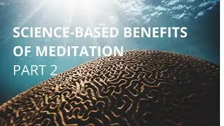 Science-based Benefits of Meditation, part 2: How Stress Gets Under Your Skin