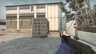[CSGO] Last-Round, Last-Bullet Clutch (CEVO pug)