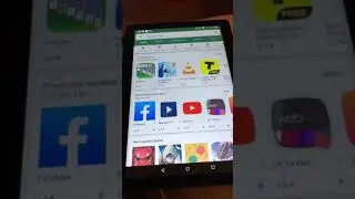Phablet with Dual Card Slot