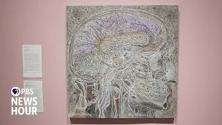 'Brains and Beauty' exhibit explores how the mind processes art and aesthetic experiences