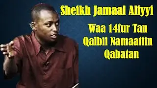 Waan Qalbii Namaatiin Qabatan ~ Sheikh Jamaal Aliyyi