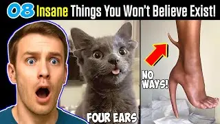 8 НЕВЕРОЯТНЫХ вещей, которые вы НИКОГДА не видели | Часть 2 | Брайан Инсайтс