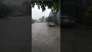 Rocking Rain in Nesco indabrator