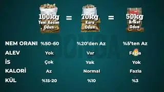 Briket odun nedir? Kuru odun, yaş odun, briket odun arasındaki farklar nelerdir?