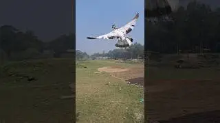 Flying pigeon aura 🥵💥 #pigeonlover #aura #flying #flyingpigeon #viralstatus #petslover