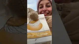 Учу язык, результатов нет &ndash; Что делать? Эффект плато