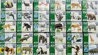 【アニア】アニマルアドベンチャー（恐竜,動物,ジュラシック・ワールド,水生動物）