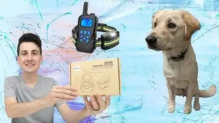 Allenker Dog Training Collar Dog Shock Collar Review | Waterproof + Dual Charger + 2600ft Range