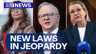 Progress of hate speech laws suffers major blow | 9 News Australia