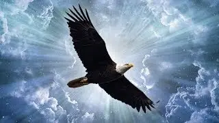 Let Go of Worries Guided Sleep Meditation Soar Like an Eagle Meditation for Sleep