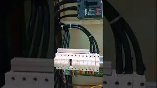 3 phase distribution panel|MCB connection #electrical #electrician