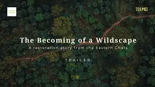 Trailer: The Becoming of a Wildscape - An ecological restoration project by Zerodha