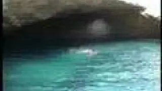 maluentu kalafornia !