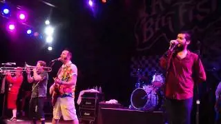 Reel Big Fish - 