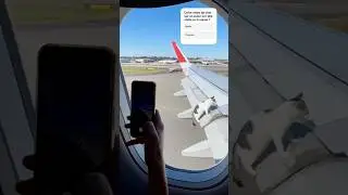 Chat sur l'aile d'avion : Vrai ou faux ? Il viral cat #plane #cat