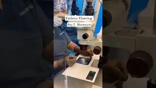 Testing the Best Embryo Thawing Techniques #ivficsi #embryo