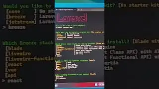 Setting Up a React + Laravel Project