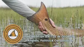 The Redfish Battle in Georgia - Anglers, Politics & Conservation