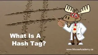 What is a Hashtag - Moose Academy?