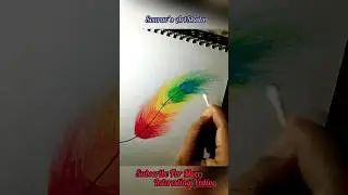 Use crayons or oil pastels to draw a colorful feather, simple and beautiful 🌈🎨🌴 #painting #shorts